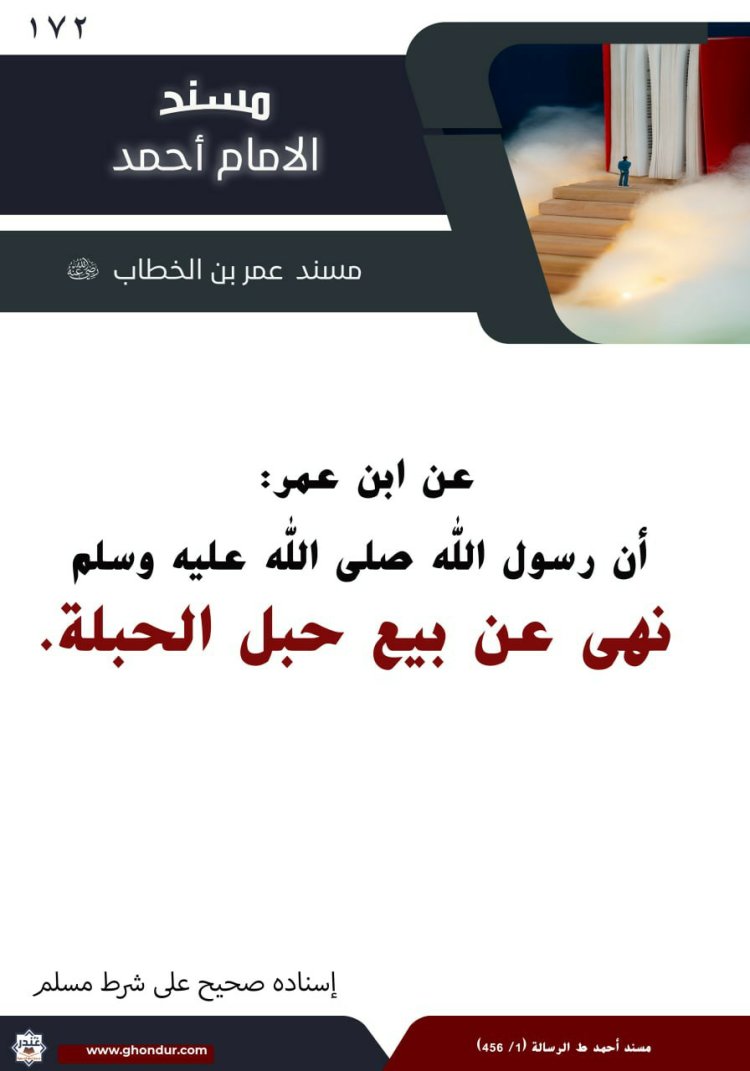 ‌‌مسند عمر بن الخطاب رضي الله عنه 172