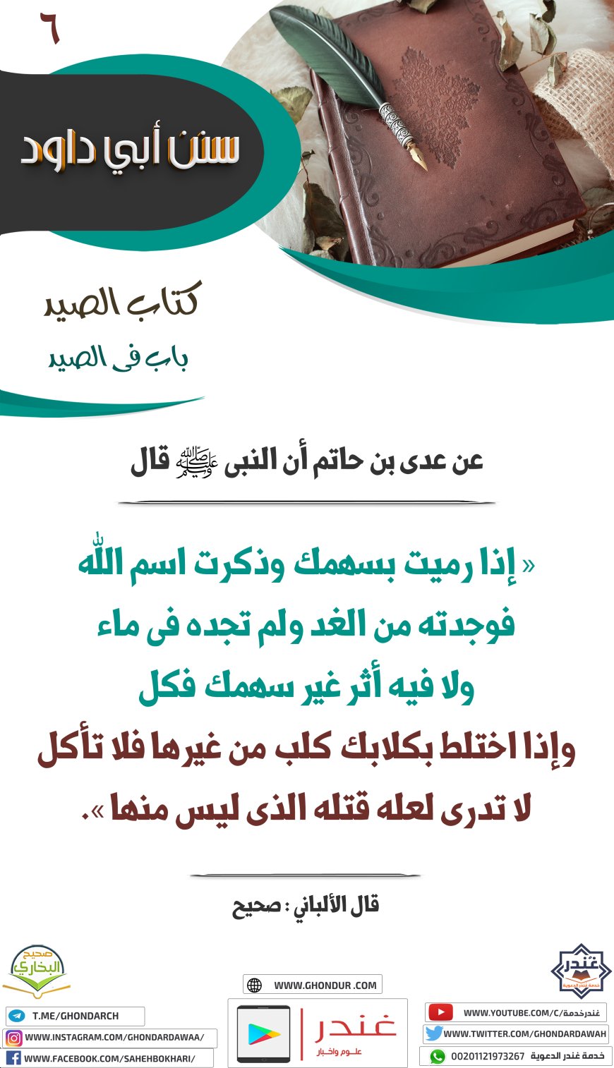باب فى الصيد
