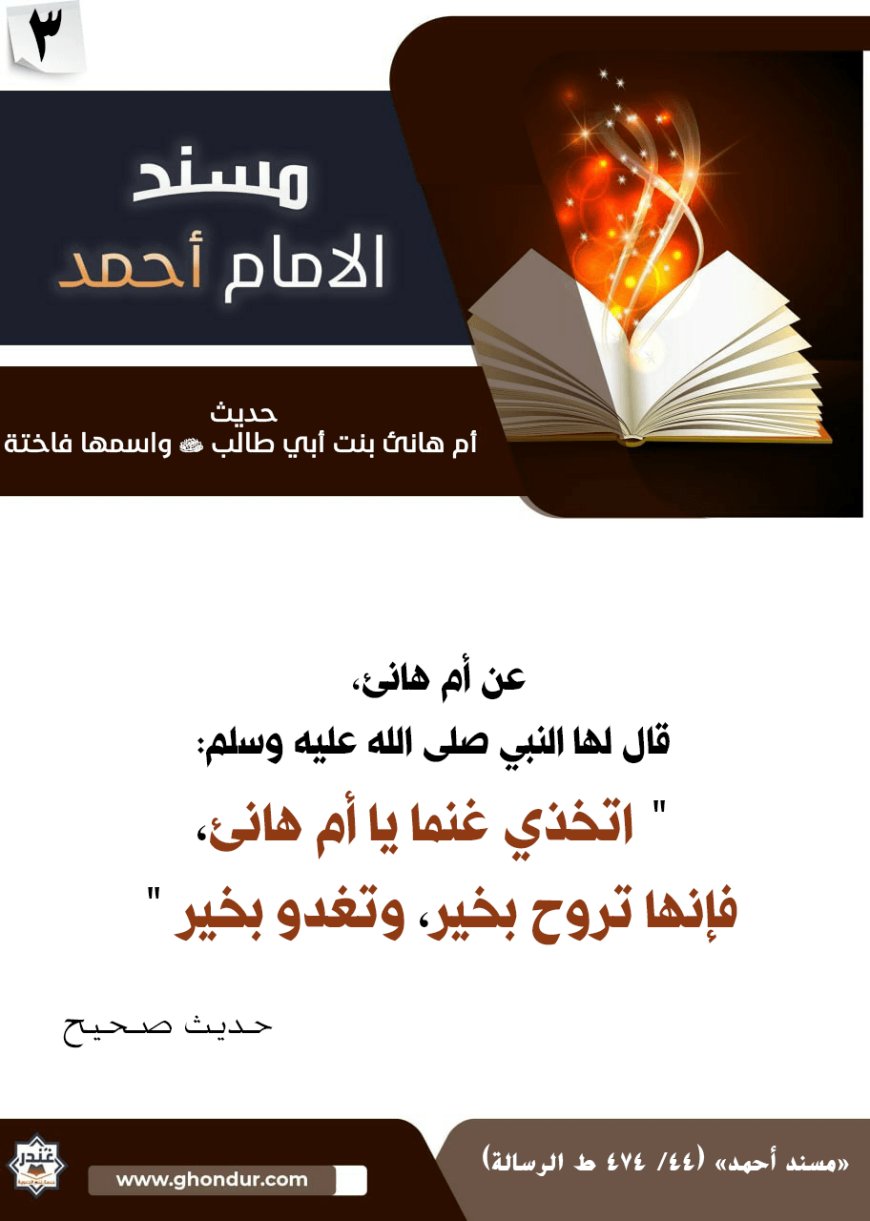 حديث أم هانئ بنت أبي طالب رضي الله عنها واسمها فاختة 3