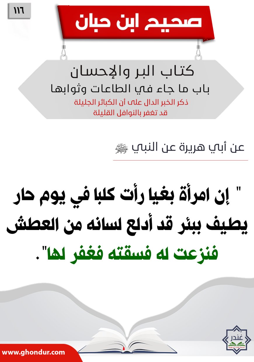 ذكر الخبر الدال على أن الكبائر الجليلة قد تغفر بالنوافل القليلة116