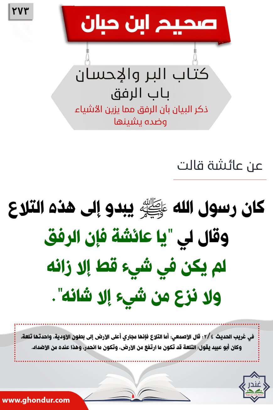 ذكر البيان بأن الرفق مما يزين الأشياء وضده يشينها273
